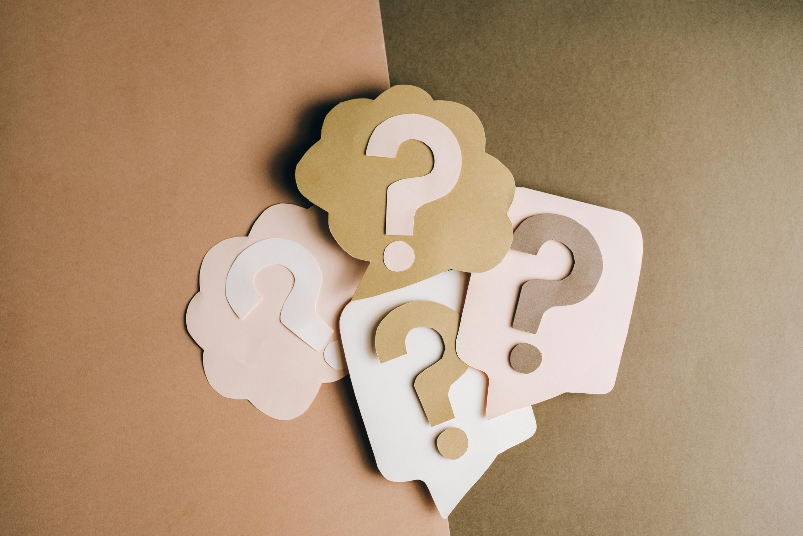 Essential questions every potential franchisee should ask